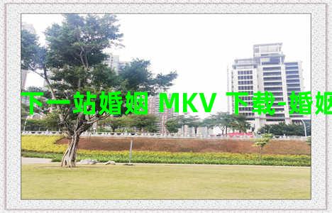 下一站婚姻 MKV 下载-婚姻-情感表达